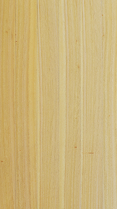 楠木突板、楠木目、クス突板、内装用突板/ツキ板不燃化粧パネル・ウッドパネルは天井材壁材として、木の壁や天井を容易に作れる木製パネル（不燃木材）です。古材、羽目板、ヘリンボーン貼りなどおしゃれな木目の壁や天井を作る事が可能です。