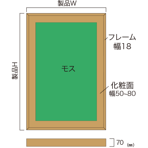 壁面を緑化するグリーンアートの寸法図